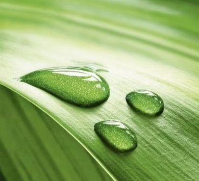 Вы найдёте нас здесь!