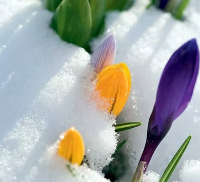 Весенние скидки!